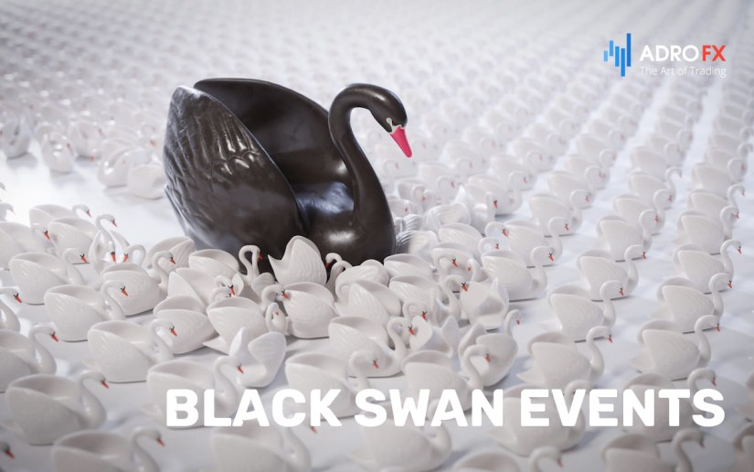 black-swan-through-white-swans