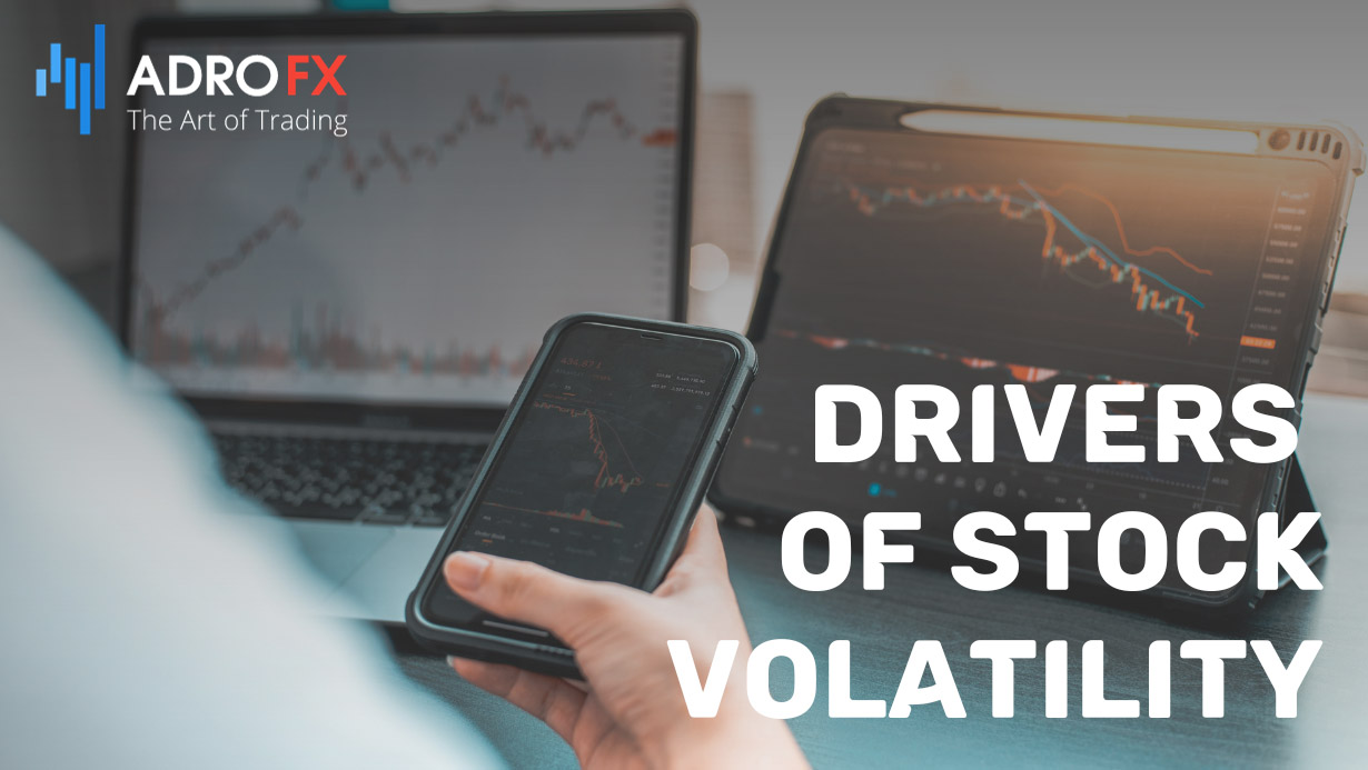 Drivers-of-Stock-Volatility