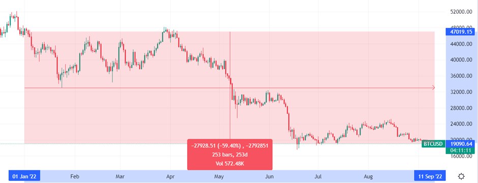 BTC/USD chart indicates a 59% drop since the beginning of 2022