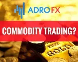 How to Start Commodity Trading: A Beginner’s Guide to Commodities in 2022	 