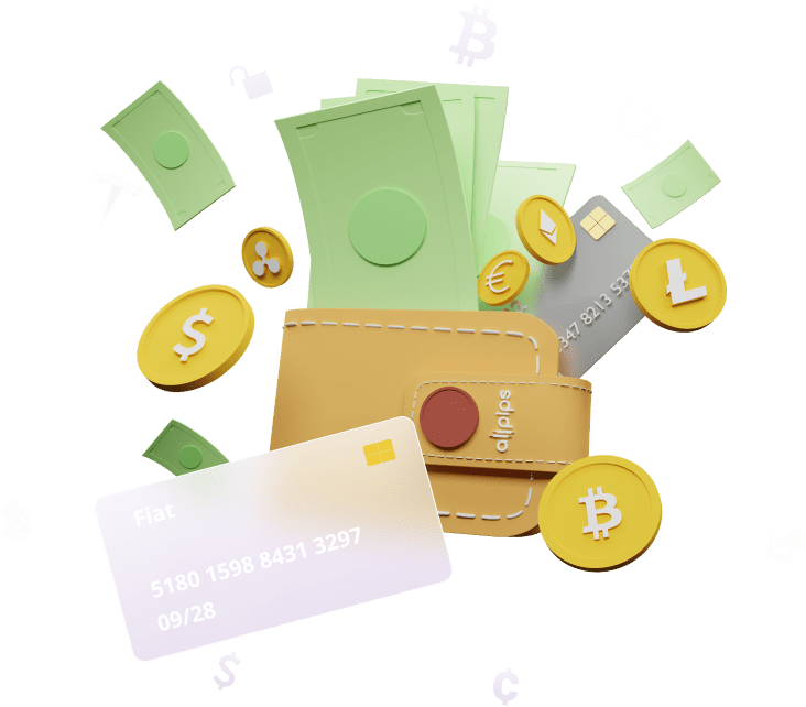 wallet with card crypto coin